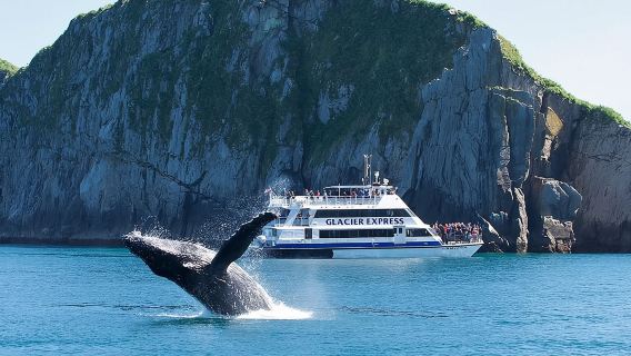 Full-Day Kenai Fjords National Park Cruise