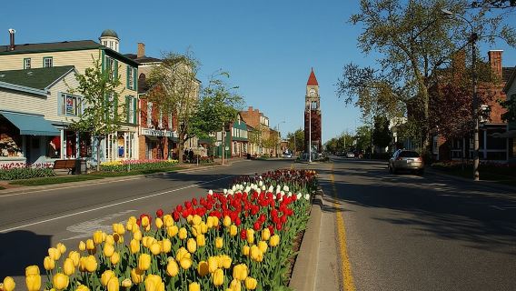 Aventura privada y personalizable de cata de vinos/Excursión de un día a las Cataratas del Niágara