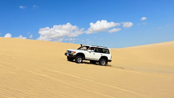 Safari en 4x4 au Caire, balade à dos de chameau, Lac Magique, cascades et déjeuner