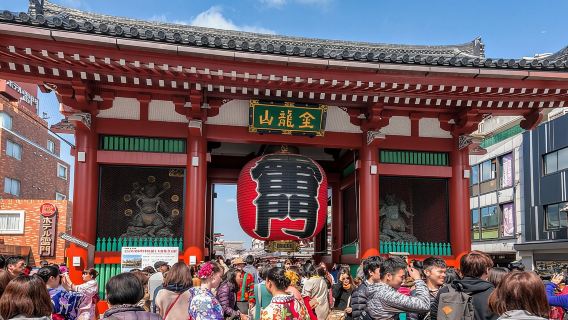 Excursión turística de medio día por Tokio