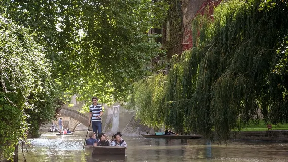 Shared Guided Punting Tour of Cambridge