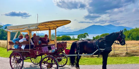 基拉尼國家公園馬車導覽遊