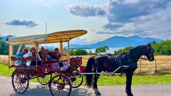 Tour in auto nel Parco Nazionale di Killarney