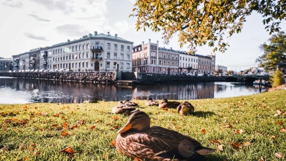one-day tour of Skansen, Gothenburg City Hall Square, Nature and Science Museum, and Haga Cathedral