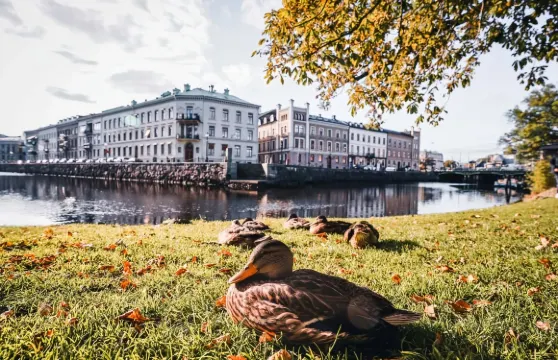 斯堪森堡+哥德堡市政廳廣場+自然科技館+哈加大教堂一日遊