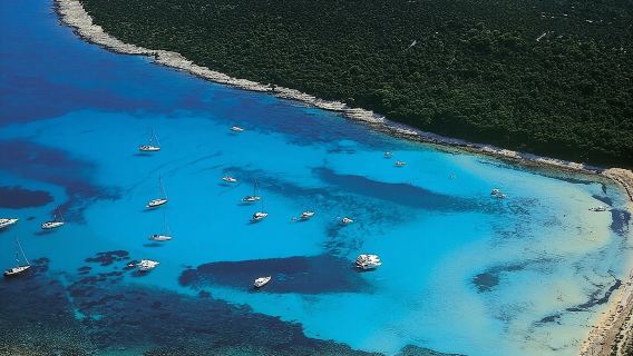 Zadar: Sakarun - Dugi otok Luxury Speedboat Tour with Lunch