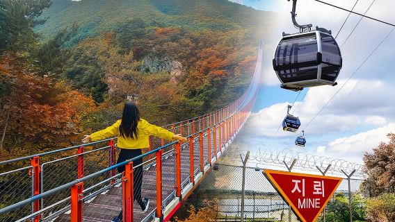 Korea DMZ & Gondola & Suspension Bridge From Seoul