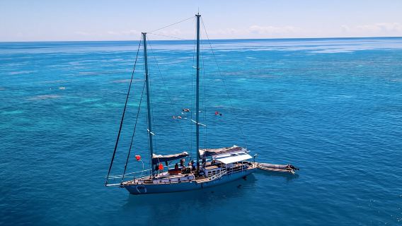 Personal sail, tropical island, and snorkel in the Great Barrier Reef