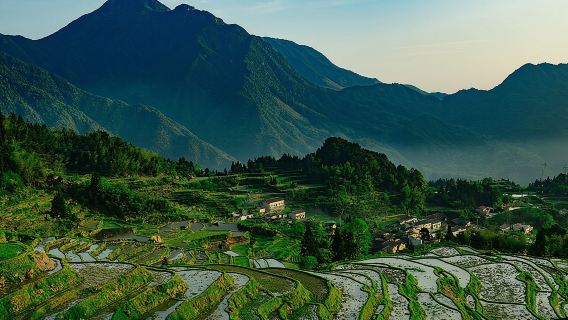 雲與梯田景區+古堰畫鄉旅遊度假區一日遊【包車遊】