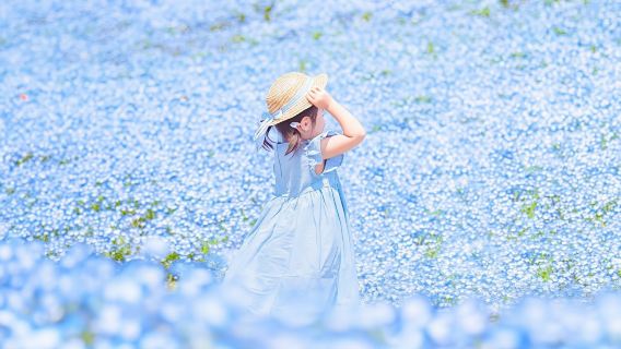 Ibaraki, Hitachi Seaside Park and Oarai Isosaki Shrine Tour in Tokyo