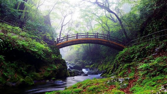 Day Tour to Miyazaki Takachiho Gorge & Shrine depart from Fukuoka