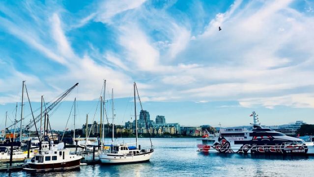 加拿大維多利亞唐人街+比肯丘公園一日遊/行程可調-悅享旅途