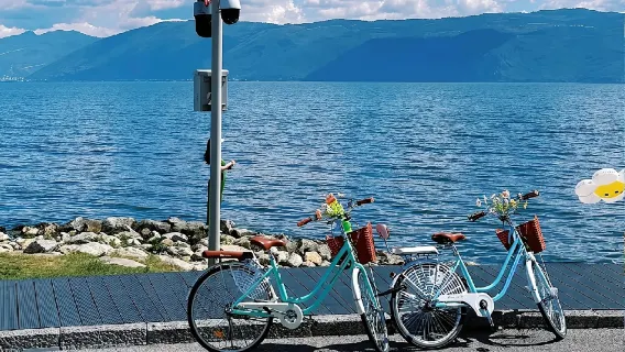 one-day tour to Erhai Lake in Dali, Yunnan [Pure fun regular charter one-day tour]