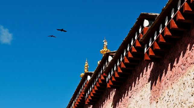 虎跳峽+香格里拉一日遊【經幡+不推騎馬+環納帕海+回程高速】