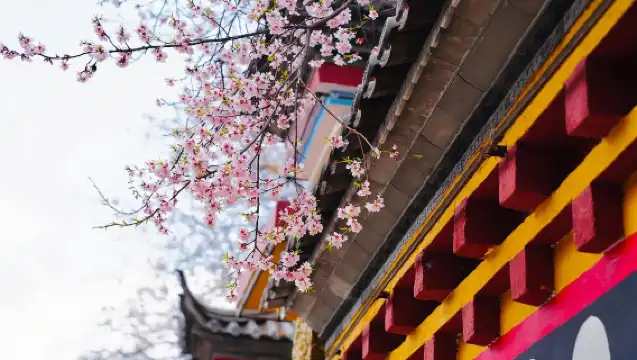 香格里包車一日遊+噶丹松贊林寺+納帕海+獨克宗古城