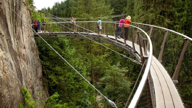 Grouse Mountain & Capilano Suspension Bridge Tour from Vancouver