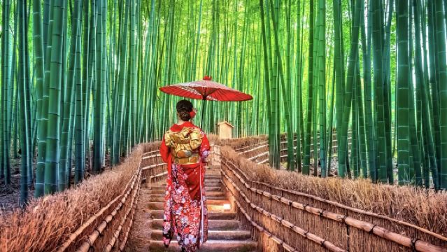 日本京都嵐山-嵐山嵯峨野觀光小火車-竹林小徑【中文專車 舒適純淨】