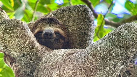 Tour guidato nel Parco Nazionale Manuel Antonio!