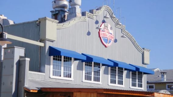 舊金山親子友善型：「小小科學家」矽谷&蒙特雷親子包車團  