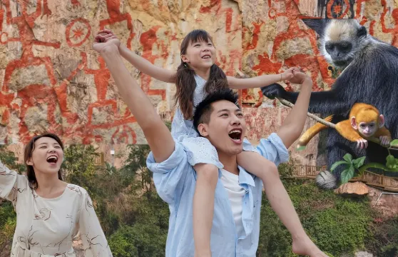 【崇左起止】花山岩畫、白頭葉猴探秘一日遊/純玩無購物無自費