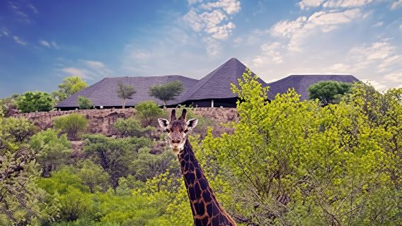 Gaborone: City Tour, Game Drive & Boat Cruise