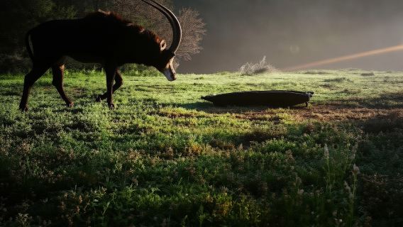 Simpanan Permainan Bon: Memandu Permainan