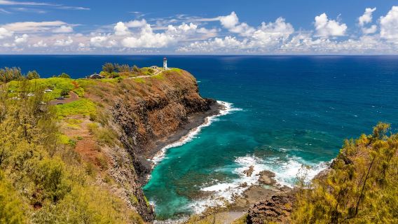 Kauai East Side and North Shore: Waterfalls & Beaches Tour