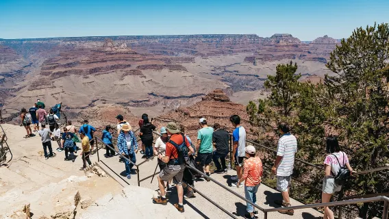 Từ Las Vegas: Chuyến đi trong ngày đến Grand Canyon South Rim