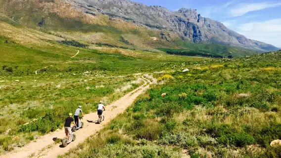 Stellenbosch Winelands สกู๊ตเตอร์แรงโน้มถ่วงแบบดาวน์ฮิลล์