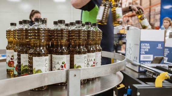 XXI Century Olive Oil Mill Tour