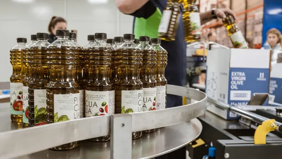 Visita a la Almazara del Siglo XXI