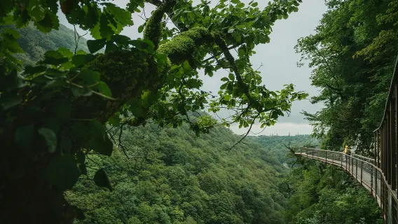 Tour dei canyon e delle grotte da Kutaisi