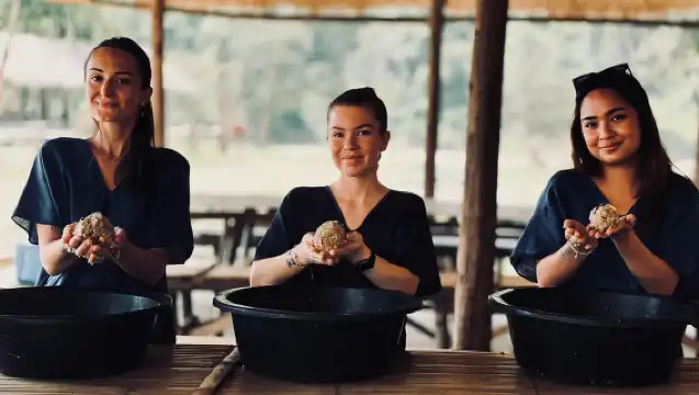 Chiang Mai: Elephant Sanctuary, Long Neck & Sticky Waterfall