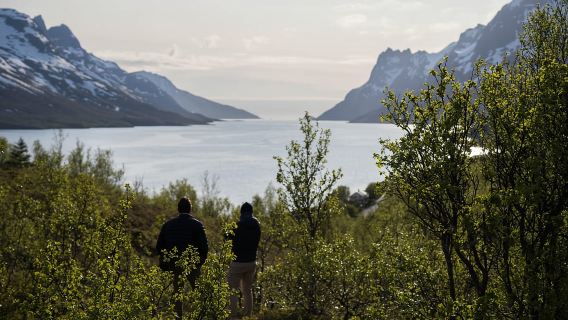 Tromsø: Tour dei fiordi e visita a Sommarøy con guida turistica esperta in italiano