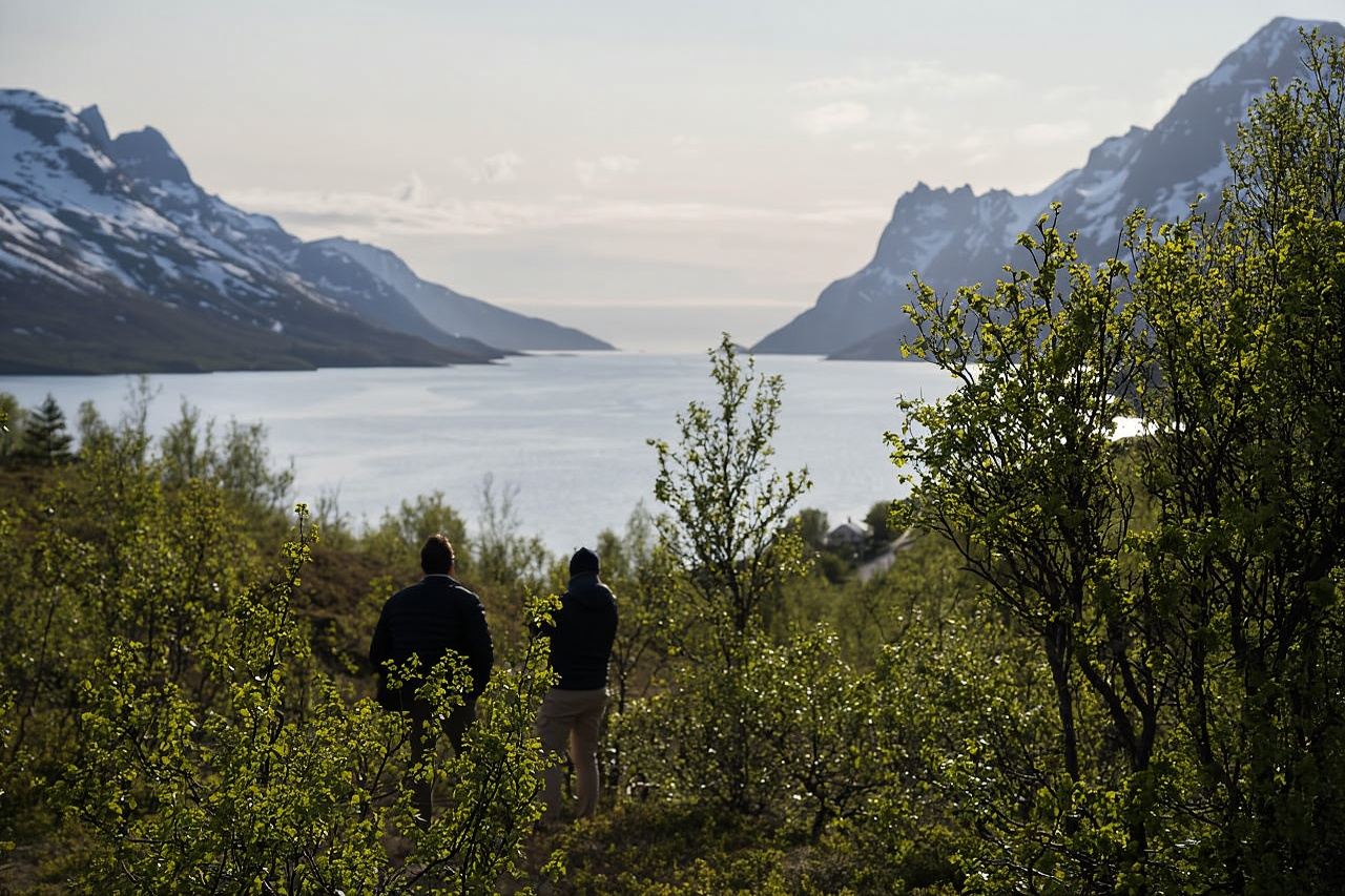 Tromsø: Tour dei fiordi e visita a Sommarøy con guida turistica esperta in italiano