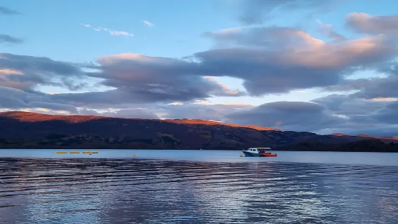 Excursión de un día al Lago Lomond y al Parque Nacional de los Trossachs desde Edimburgo, Reino Unido
