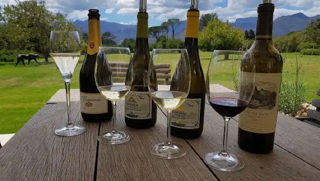 ทัวร์ไวน์ส่วนตัวที่ปรับแต่งได้