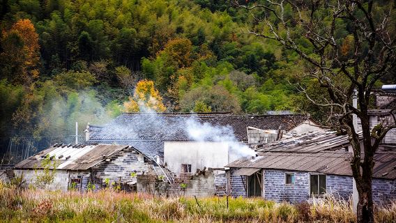Tachuan + Hongcun + Lucun + Nanping + Hutan Buluh Mukeng lawatan sehari sewaan peribadi [Menikmati musim luruh/Jemputan pintu ke pintu]