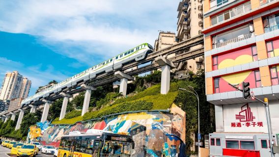1-tägige/halbtägige Führung mit Reiseleiter in Chongqing, Wulong