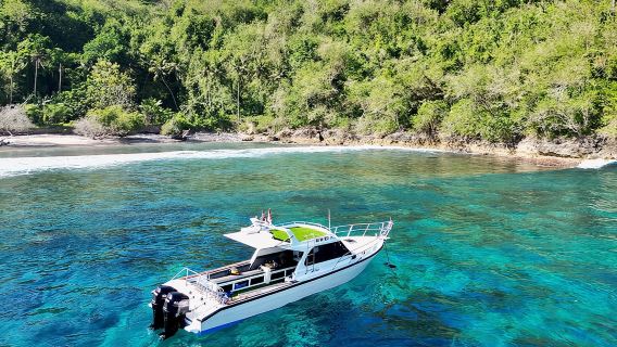 Nusa Penida day trip: boat, 4 snorkeling, Manta rays & Land tour
