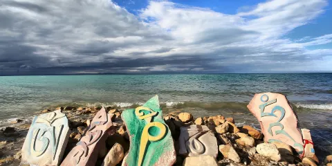 【賞湟魚●贈送早餐】塔爾寺+青海湖+日月山+拉脊山一日遊