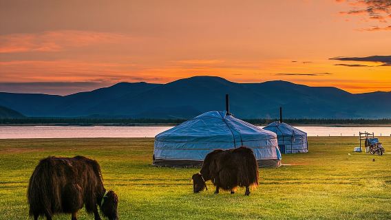 Best of Mongolia 5 days ( complimentary airport services )