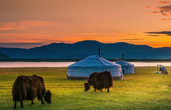蒙古五日遊（含免費機場接送服務）