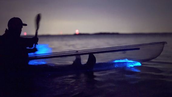 Clear Kayak Bioluminescence Tour - Cocoa Beach