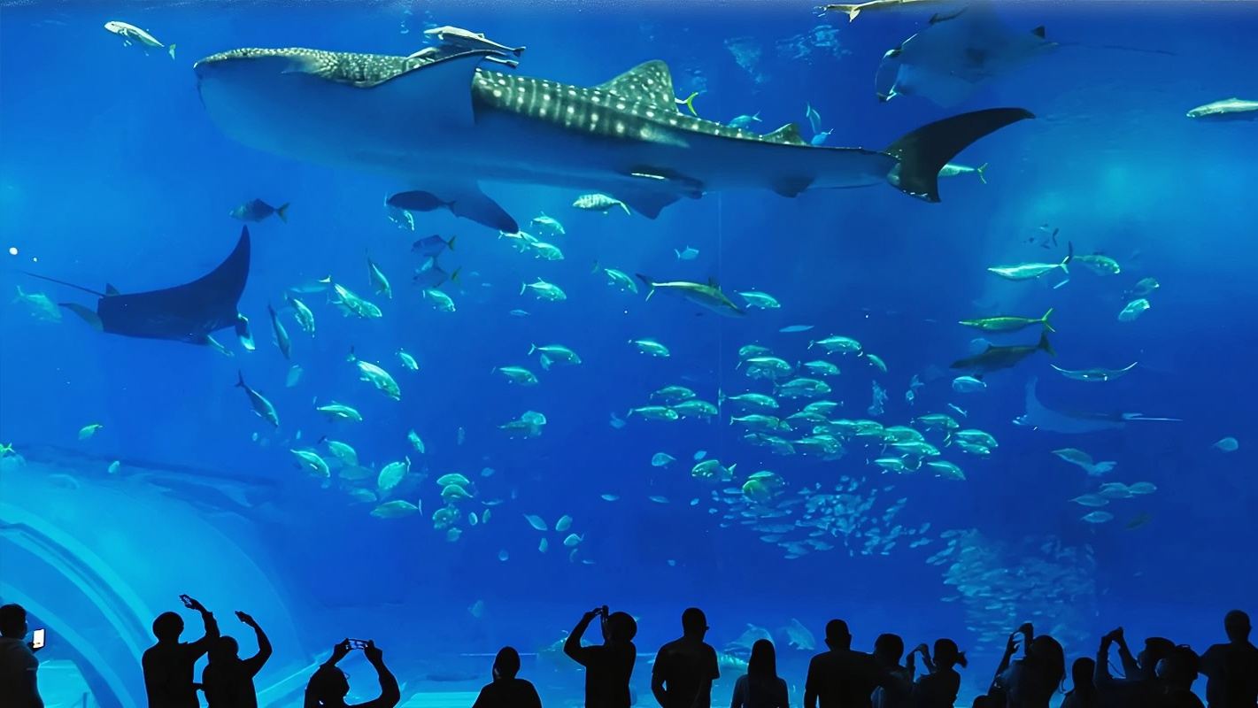 日本沖繩美國村一日遊【美國村中北部一日遊】