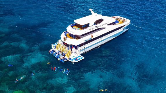 Schnorchel- und Tauchkreuzfahrt zum Great Barrier Reef ab Cairns