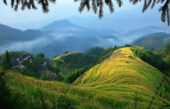 2人起私家團祖廟明月山一日遊宜春萍鄉新余吉安上門接送