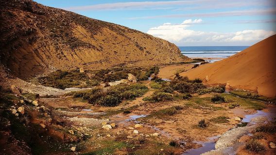 Walk to the cascade and marabout of Sidi Mbark & for a tea to Kaouki.