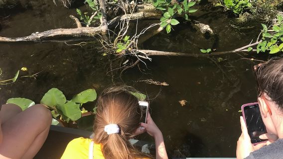 Private 2-Hour Airboat Tour of Miami Everglades