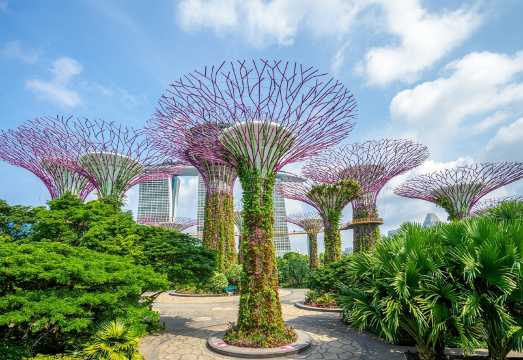 Singapore Walking Tour: Self-Guided City Game